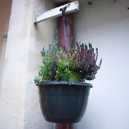 Charming In A Courtyard In Appartamento Parigi